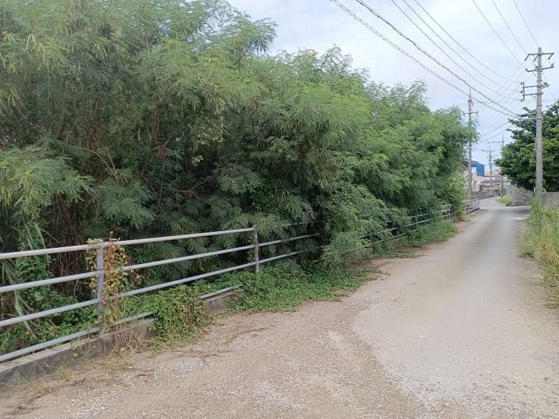 Land for Sale in Odo, Itoman City, Okinawa - 224 sqm Plot - Thumbnail 2