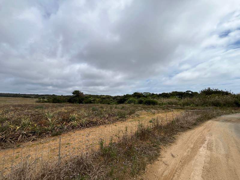 8,579 sqm Farmland for Sale in Higashi Village, Okinawa - Thumbnail 4