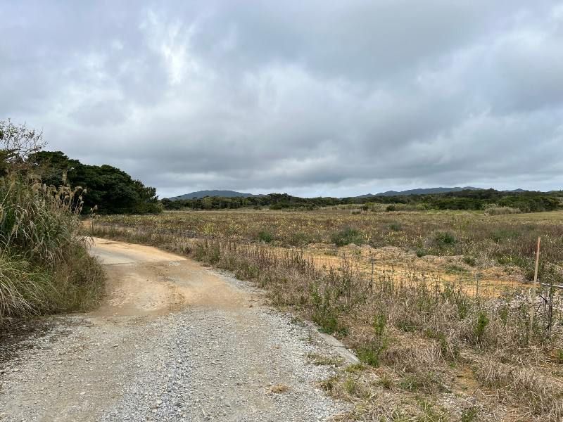 8,579 sqm Farmland for Sale in Higashi Village, Okinawa - Thumbnail 3