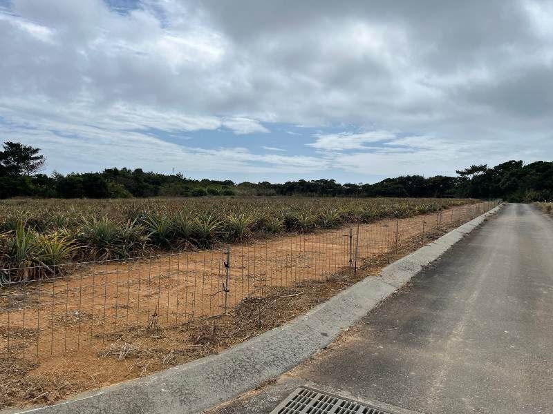 8,579 sqm Farmland for Sale in Higashi Village, Okinawa - Thumbnail 2