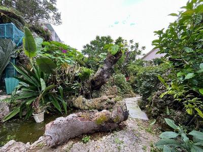 Ocean View Estate with Restaurant in Nanjo City, Okinawa — Image 1, Nanjo, Okinawa