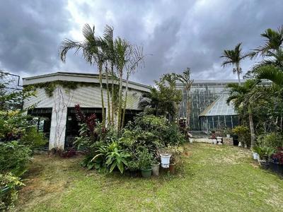 Ocean View Estate with Restaurant in Nanjo City, Okinawa — Image 2, Nanjo, Okinawa