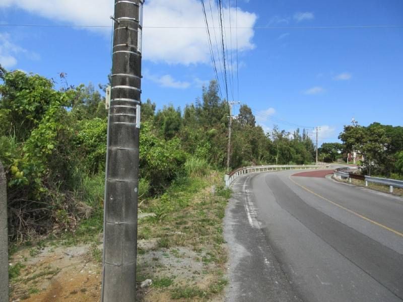 Agricultural Land for Sale in Kin, Okinawa - 2,133 sqm Plot - Thumbnail 2