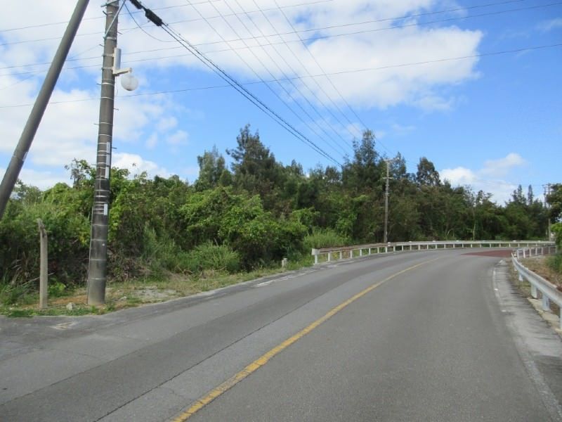 Agricultural Land for Sale in Kin, Okinawa - 2,133 sqm Plot - Thumbnail 3