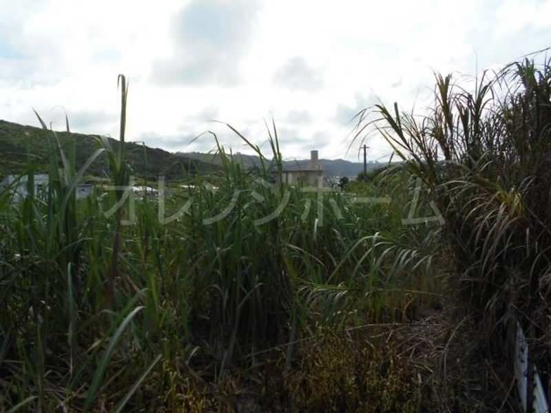 930㎡ Agricultural Land for Sale in Sashiki, Nanjo City - Thumbnail 3