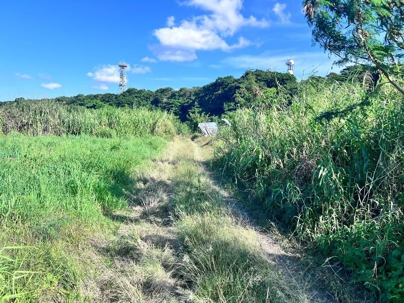 Agricultural Land for Sale in Yomitan, Okinawa - 2360 sqm - Thumbnail 4