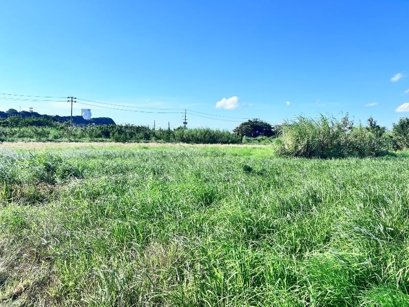 Agricultural Land for Sale in Yomitan, Okinawa - 2360 sqm - Thumbnail 2