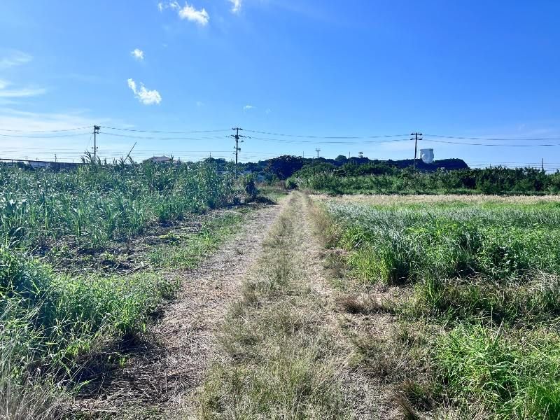 Agricultural Land for Sale in Yomitan, Okinawa - 2360 sqm - Thumbnail 3