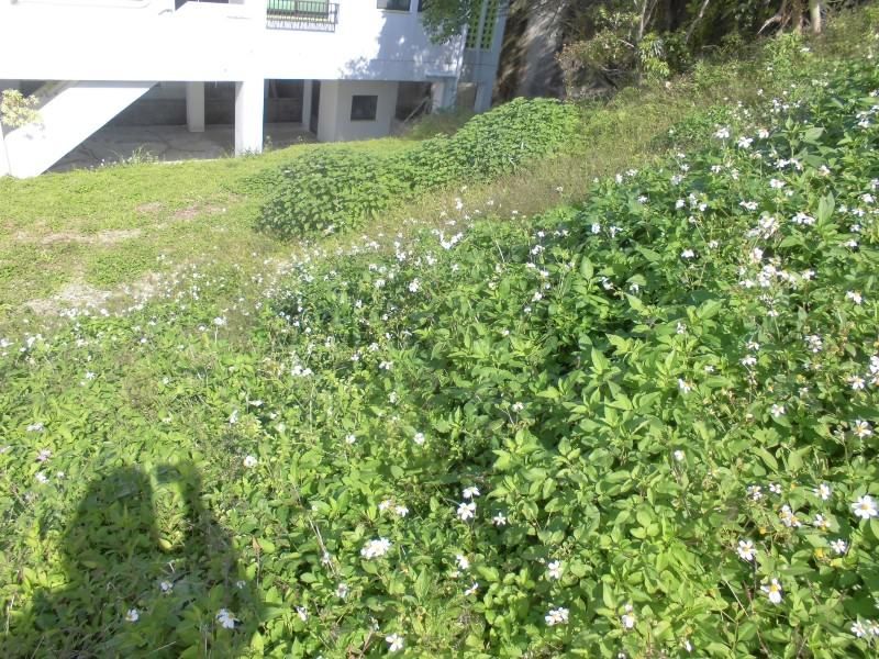 700㎡ Land for Sale in Matamabashi, Tomigusuku City, Okinawa - Thumbnail 3