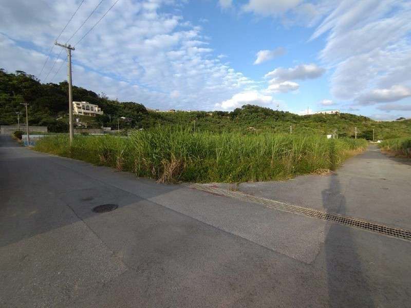 632 sqm Farmland for Sale in Nanjo City, Okinawa - Thumbnail 2
