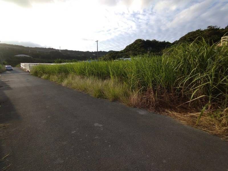 632 sqm Farmland for Sale in Nanjo City, Okinawa - Thumbnail 3