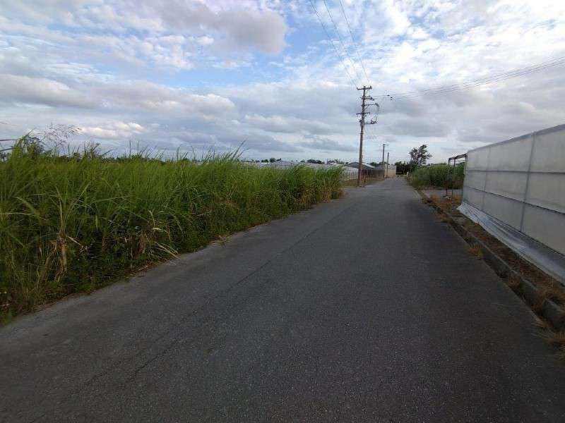 632 sqm Farmland for Sale in Nanjo City, Okinawa - Thumbnail 4