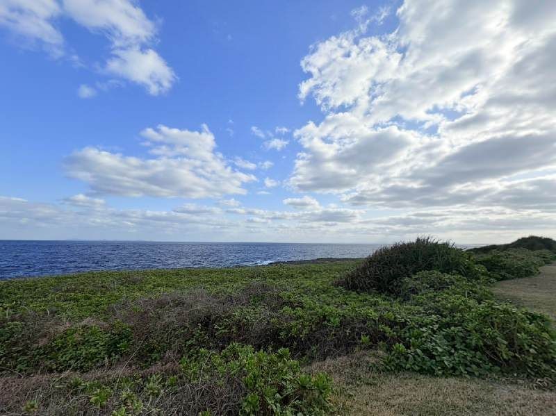 7,006 sqm Farmland for Sale in Ie Village, Okinawa - Thumbnail 3
