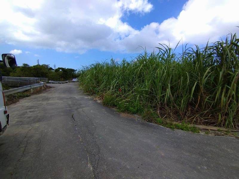 Agricultural Land for Sale in Itoman City, Okinawa - 2,209 sqm - Thumbnail 2