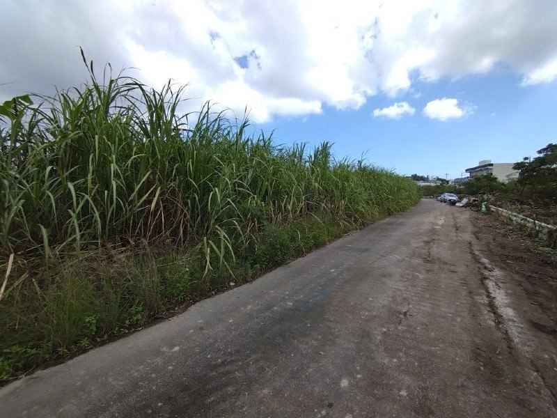 Agricultural Land for Sale in Itoman City, Okinawa - 2,209 sqm - Thumbnail 3
