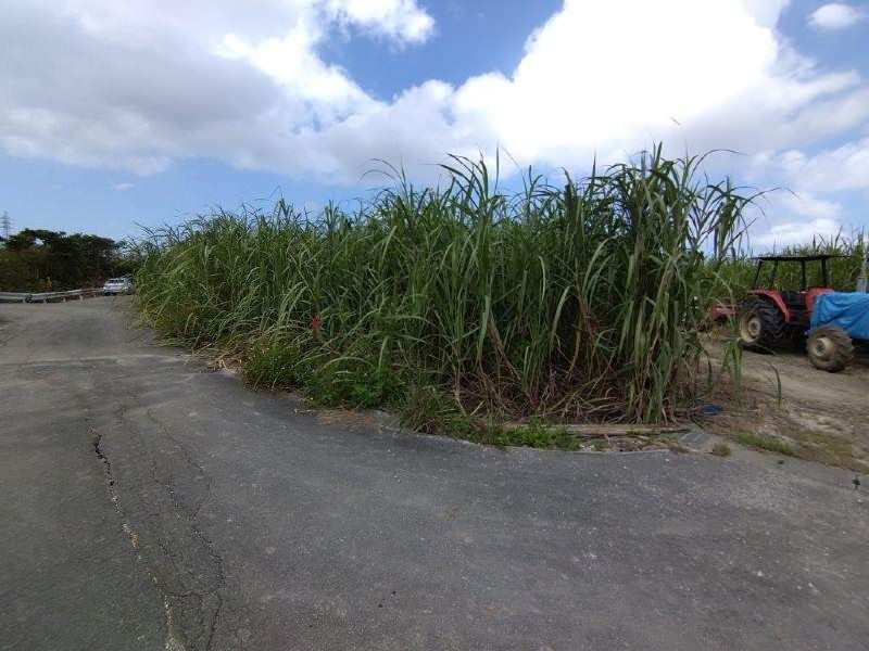 Agricultural Land for Sale in Itoman City, Okinawa - 2,209 sqm - Thumbnail 4