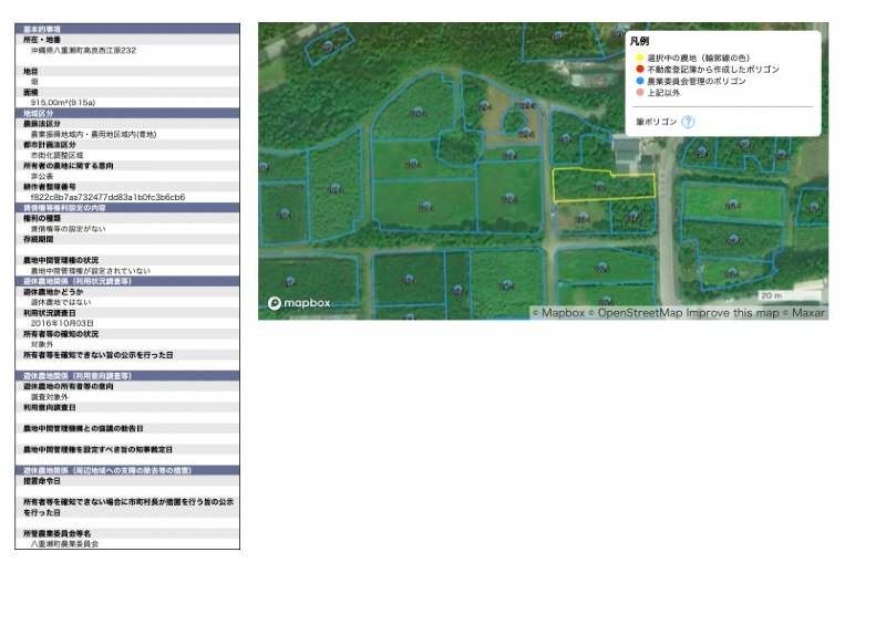 Agricultural Land for Sale in Yaese Town, Okinawa - 915 sqm - Thumbnail 3