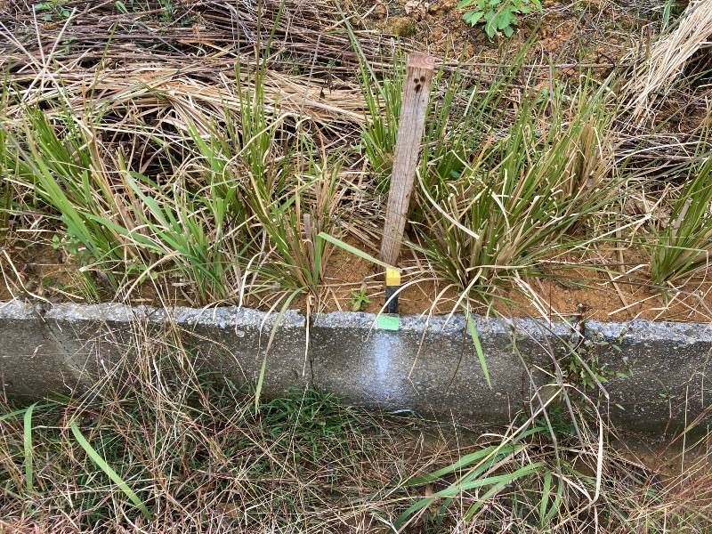 Agricultural Land for Sale in Ginoza Village, Okinawa - 655 sqm - Thumbnail 2