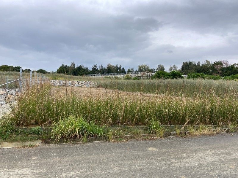 Agricultural Land for Sale in Ginoza Village, Okinawa - 655 sqm - Thumbnail 3