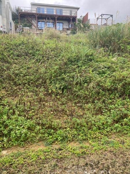 428 sqm Corner Land with Sea Views in Nakijin Village, Okinawa - Thumbnail 4
