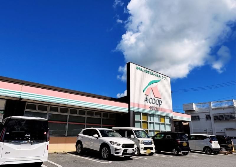 428 sqm Corner Land with Sea Views in Nakijin Village, Okinawa - Thumbnail 2