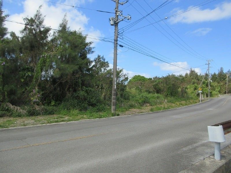 1,040 sqm Farmland for Sale in Kin Town, Okinawa - 1.6M Yen - Thumbnail 4