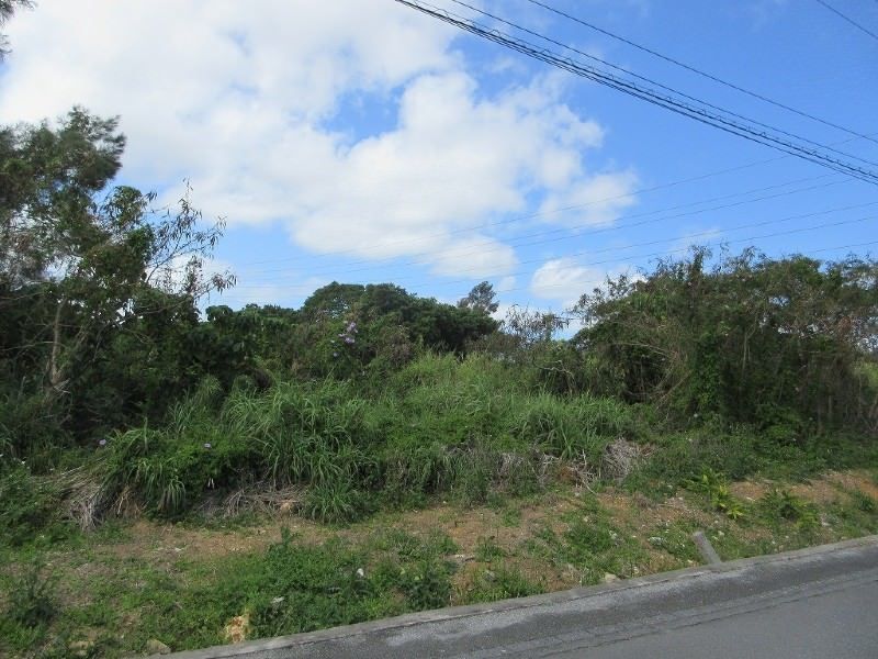 1,040 sqm Farmland for Sale in Kin Town, Okinawa - 1.6M Yen - Thumbnail 3