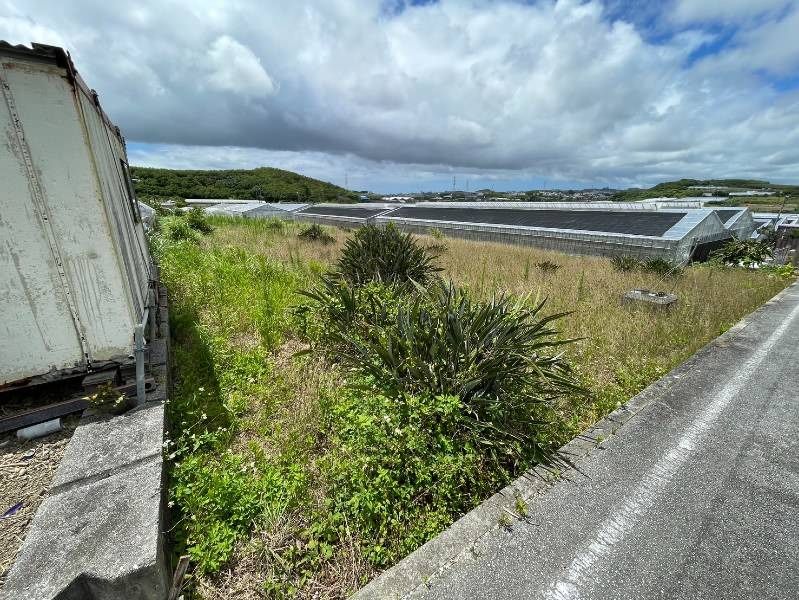 516.9 Tsubo Agricultural Land for Sale in Nanjo City, Okinawa - Thumbnail 3