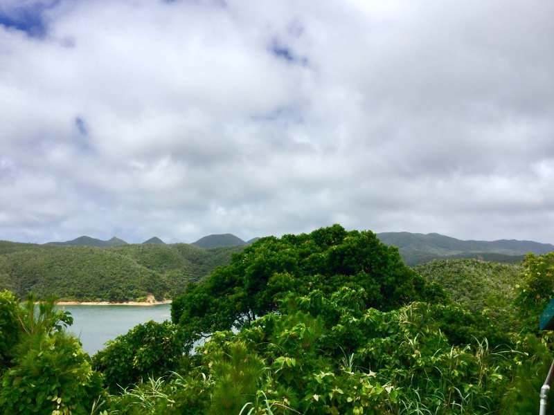11,964 sqm Agricultural Land with Dam Views in Higashi Village, Okinawa - Thumbnail 3
