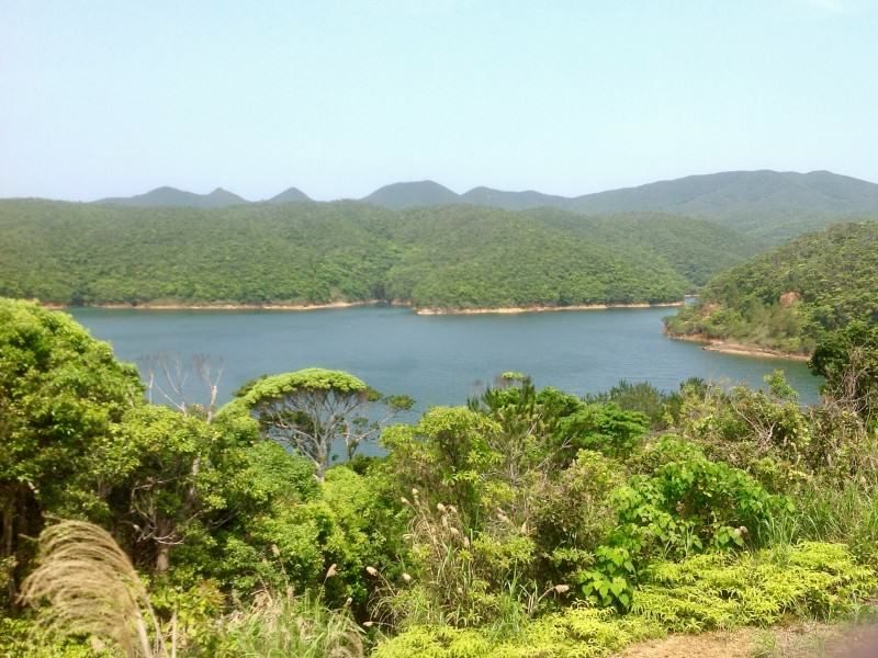 11,964 sqm Agricultural Land with Dam Views in Higashi Village, Okinawa - Thumbnail 2