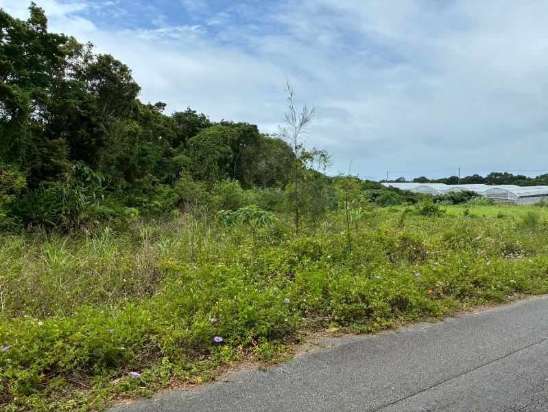 Large Land Parcel in Ginoza Village, Okinawa – 1,894 sqm - Thumbnail 2
