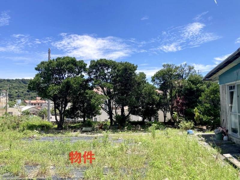 213 Tsubo Land Plot for Sale in Yaese Town, Okinawa with Mountain Views - Thumbnail 3