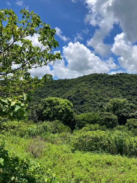 5,074 sqm Land for Sale in Ogimi Village, Okinawa - Thumbnail 2