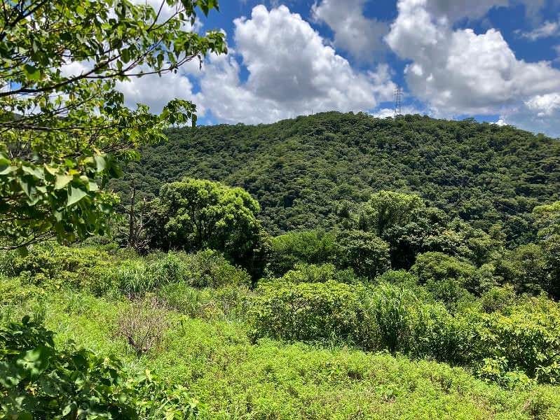 5,074 sqm Land for Sale in Ogimi Village, Okinawa - Thumbnail 3