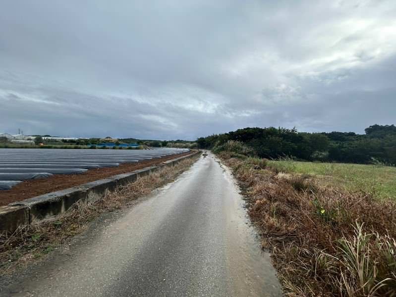 1600 Tsubo Agricultural Land for Sale in Itoman, Okinawa - Thumbnail 4