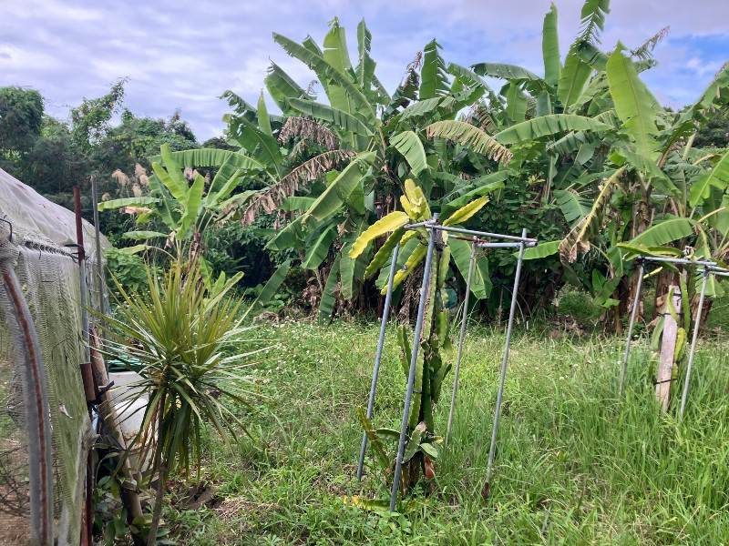 1,056 sqm Land for Sale in Haebaru, Okinawa - Development Potential - Thumbnail 4