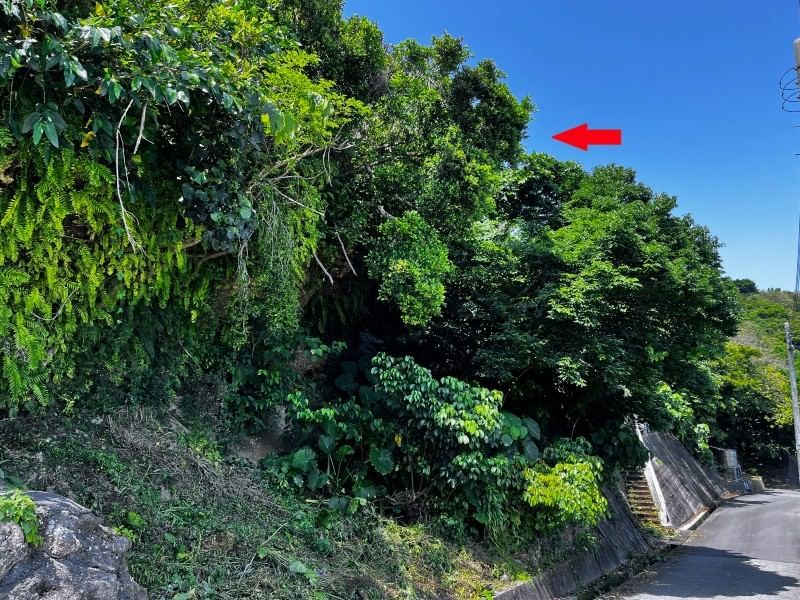 358.5 Tsubo Land Plot for Sale in Nakandakari, Nanjo City, Okinawa - Thumbnail 3