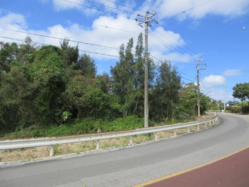 983 sqm Land for Sale in Kin Town, Okinawa - Vacant & Convertible - Thumbnail 2