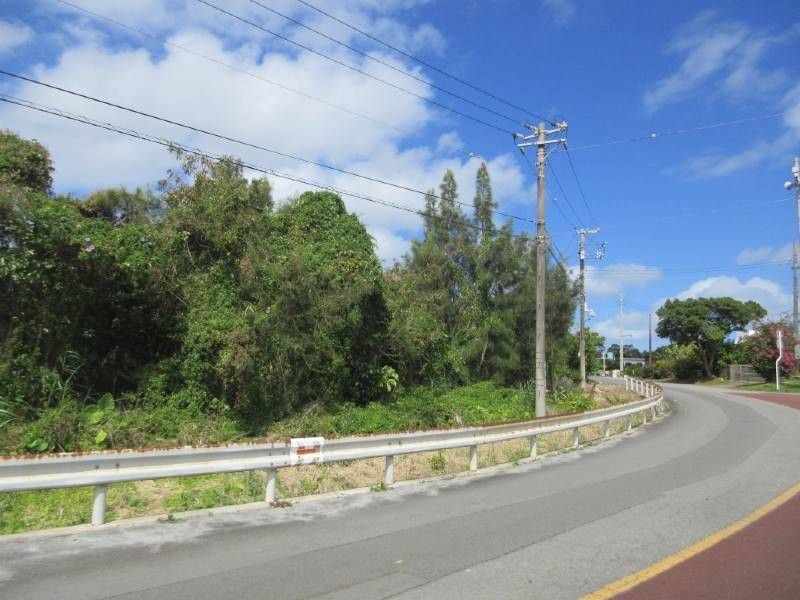 983 sqm Land for Sale in Kin Town, Okinawa - Vacant & Convertible - Thumbnail 4