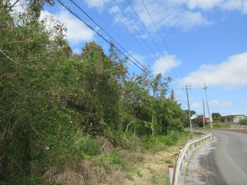 983 sqm Land for Sale in Kin Town, Okinawa - Vacant & Convertible - Thumbnail 3