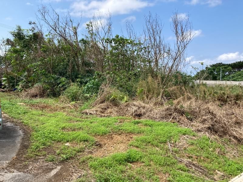 Land for Sale in Noso, Ishigaki with Sea Views - Thumbnail 2