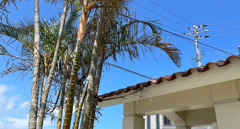 3LDK Detached House with Garden for Sale in Uruma, Okinawa - Thumbnail 3