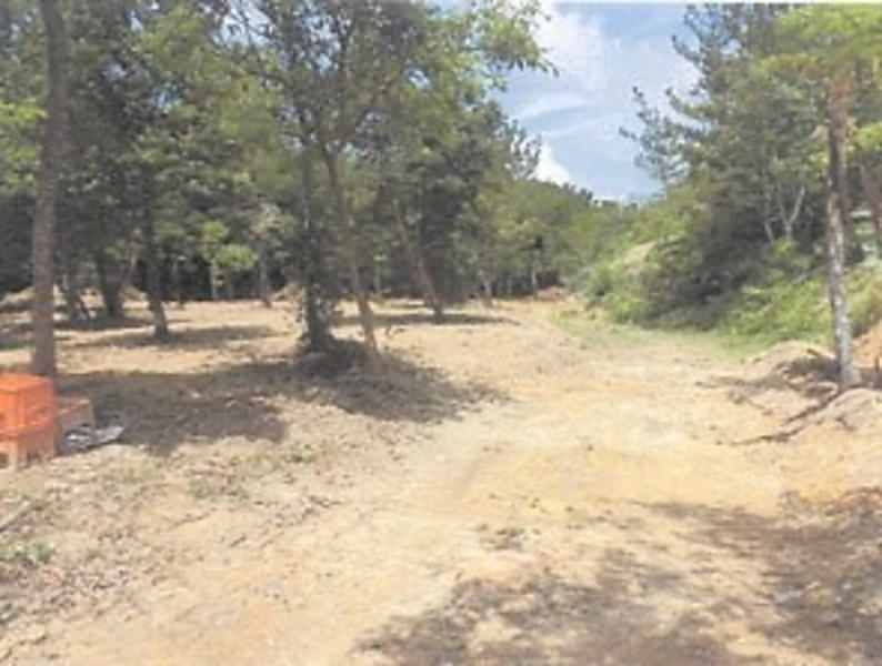 12,623 sqm Land for Sale in Taira, Higashi Village, Okinawa - Thumbnail 3