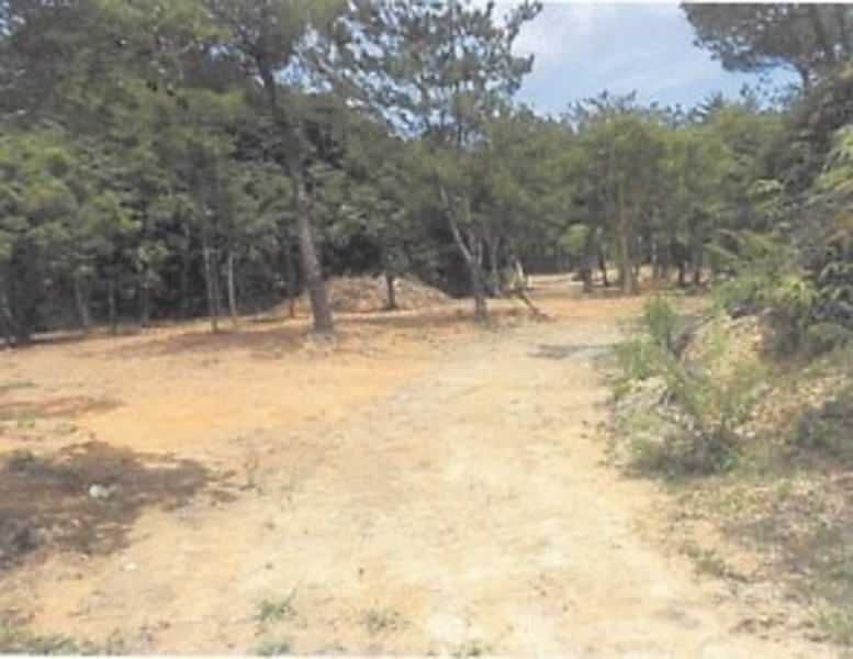 12,623 sqm Land for Sale in Taira, Higashi Village, Okinawa - Thumbnail 2
