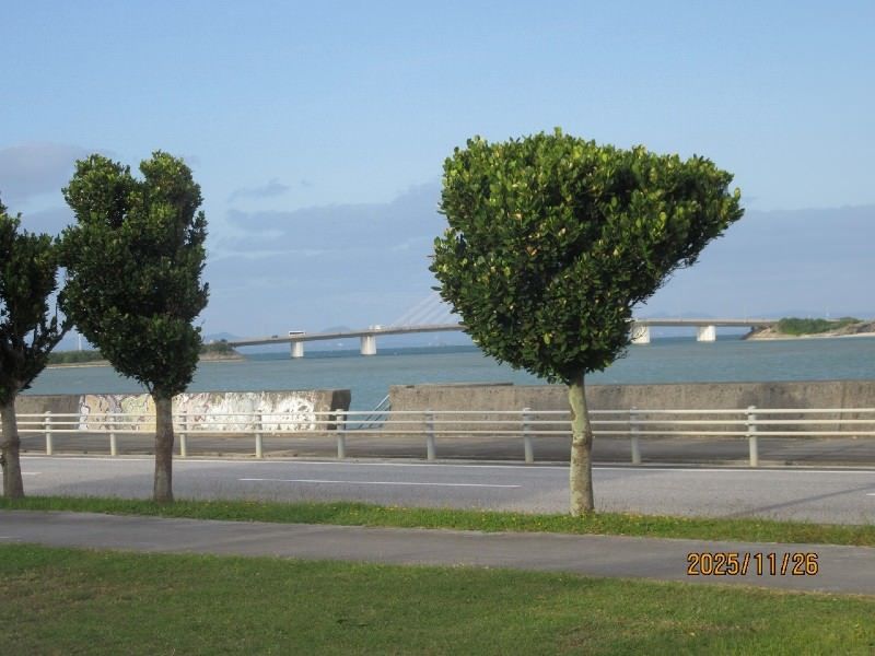 1,882 sqm Land for Sale in Yonashiro Yakena, Uruma, Okinawa - Thumbnail 2