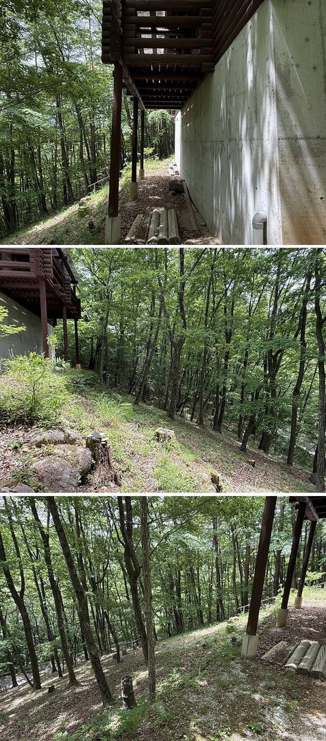 Log House in Nagano Scholars' Village Forest with Wood Stove - Thumbnail 4