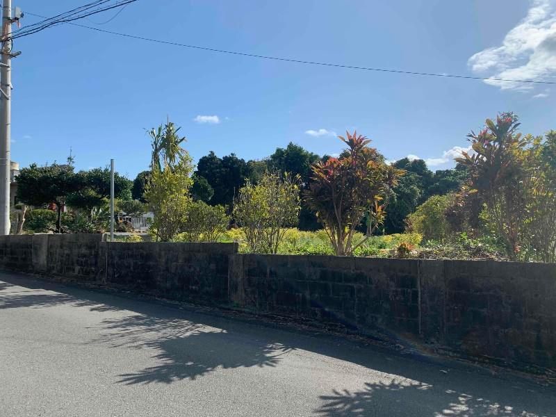315.08 sqm Flat Residential Land for Sale in Ginoza Village, Okinawa - Thumbnail 3