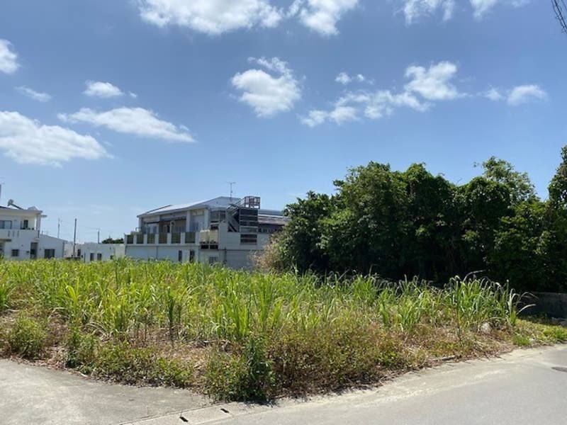 Land for Sale in Zamami, Itoman City, Okinawa - 963.1 sqm - Thumbnail 4