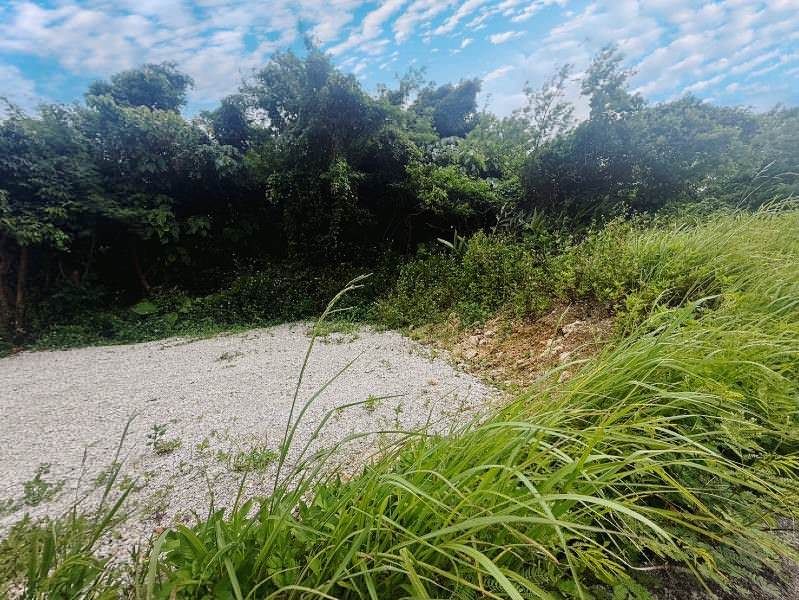 Land for Sale in Asato, Yaese Town, Okinawa - 3 Plots - Thumbnail 2