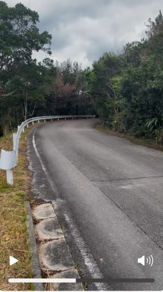 Land for Sale in Ogimi Village, Okinawa - 7,093 sqm - Thumbnail 2
